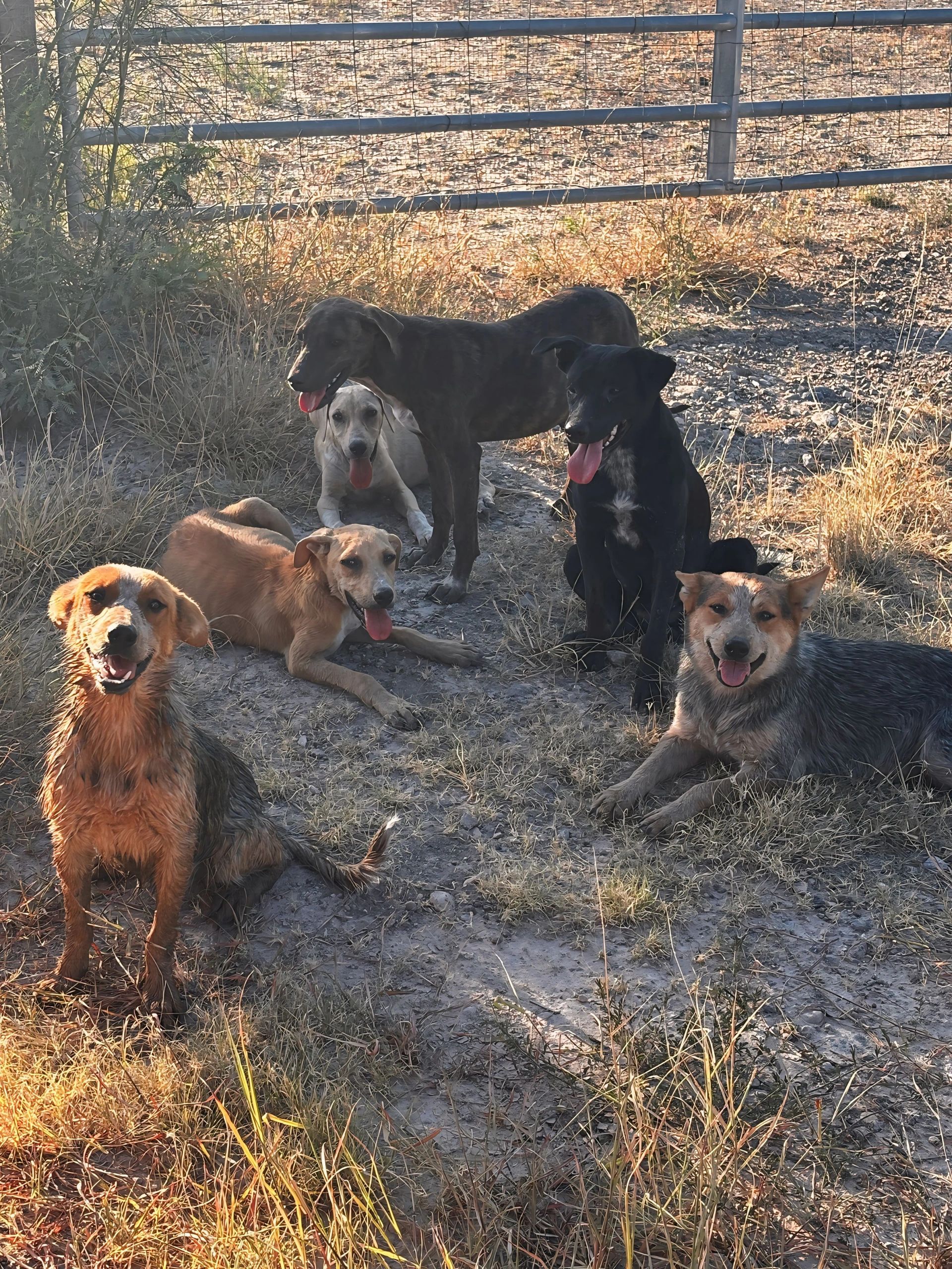 Freedom Ranch