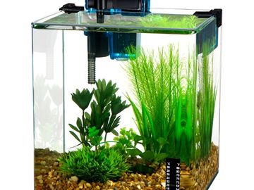 Small aquarium with green plants and gravel.