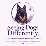 Seeing Dogs Differently