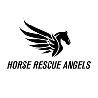 Horse Rescue Angels