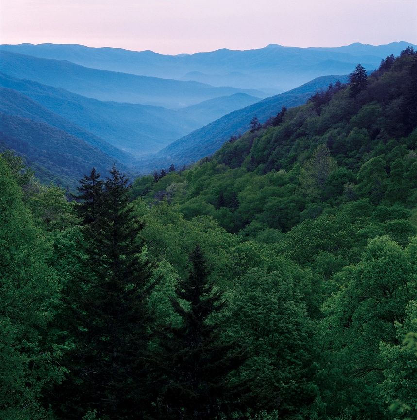 Smoky Mountain Tour Connection, Inc Group Packages, Pigeon