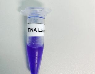 Laboratory supplies, Reagent, DNA