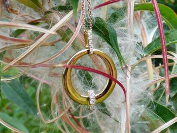 Gold circular pendant on a plant.
