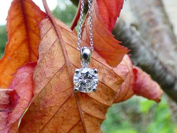 Diamond pendant necklace on autumn leaf.