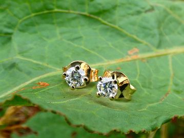 Diamond stud earrings on a green leaf.