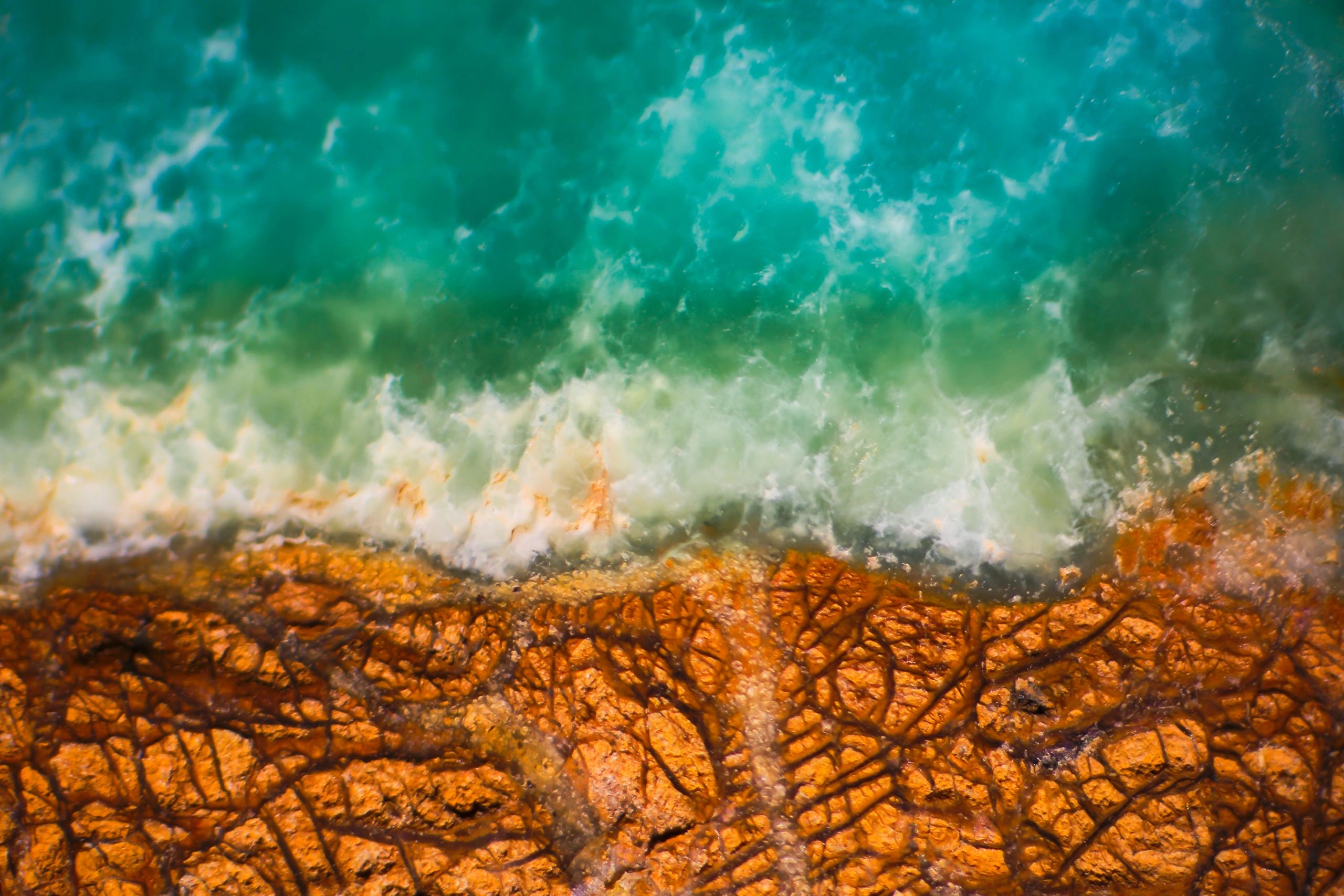 This prase opal resembles an areal view of a coastline. This image was featured by Atlas Obscura.