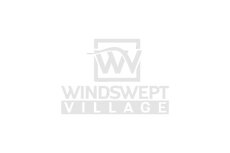 Windswept Village