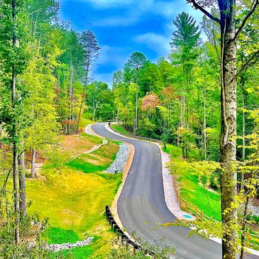 Escape to the Wild: Your Guide to Massachusetts Black Bear Campground