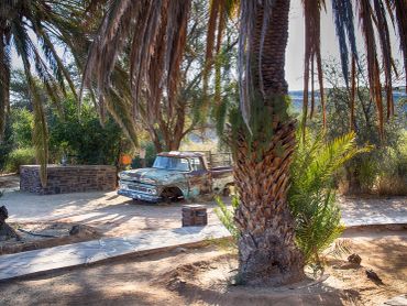 Old rusty pickup truck parked under palm trees in a sunny garden.