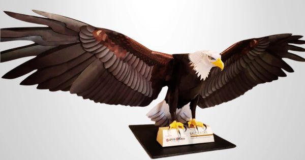Águia de asas abertas em exposição.