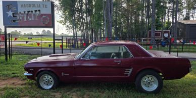 Side profile view of a vintage maroon 1966 Ford Mustang coupe parked on a paved driveway with trees 