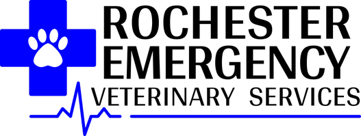 Emergency deals vet services