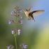 image124