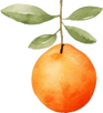 ZuzuspetalsFL.com