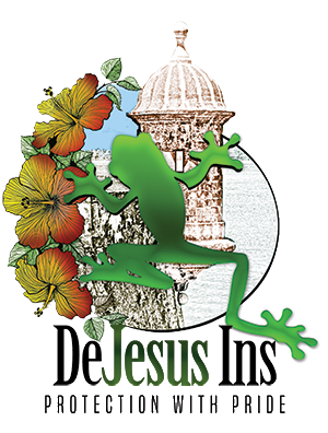 DeJesus Insurance Agency