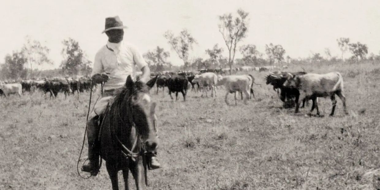 A man on horseback herding cattle in a rural landscape.