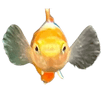 Guppies Galore