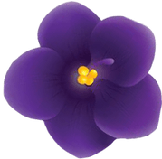 Hot Springs Area Alumnae Chapter 
