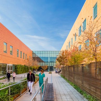 Modern hospital exterior with people walking along a pathway on a sunny day.