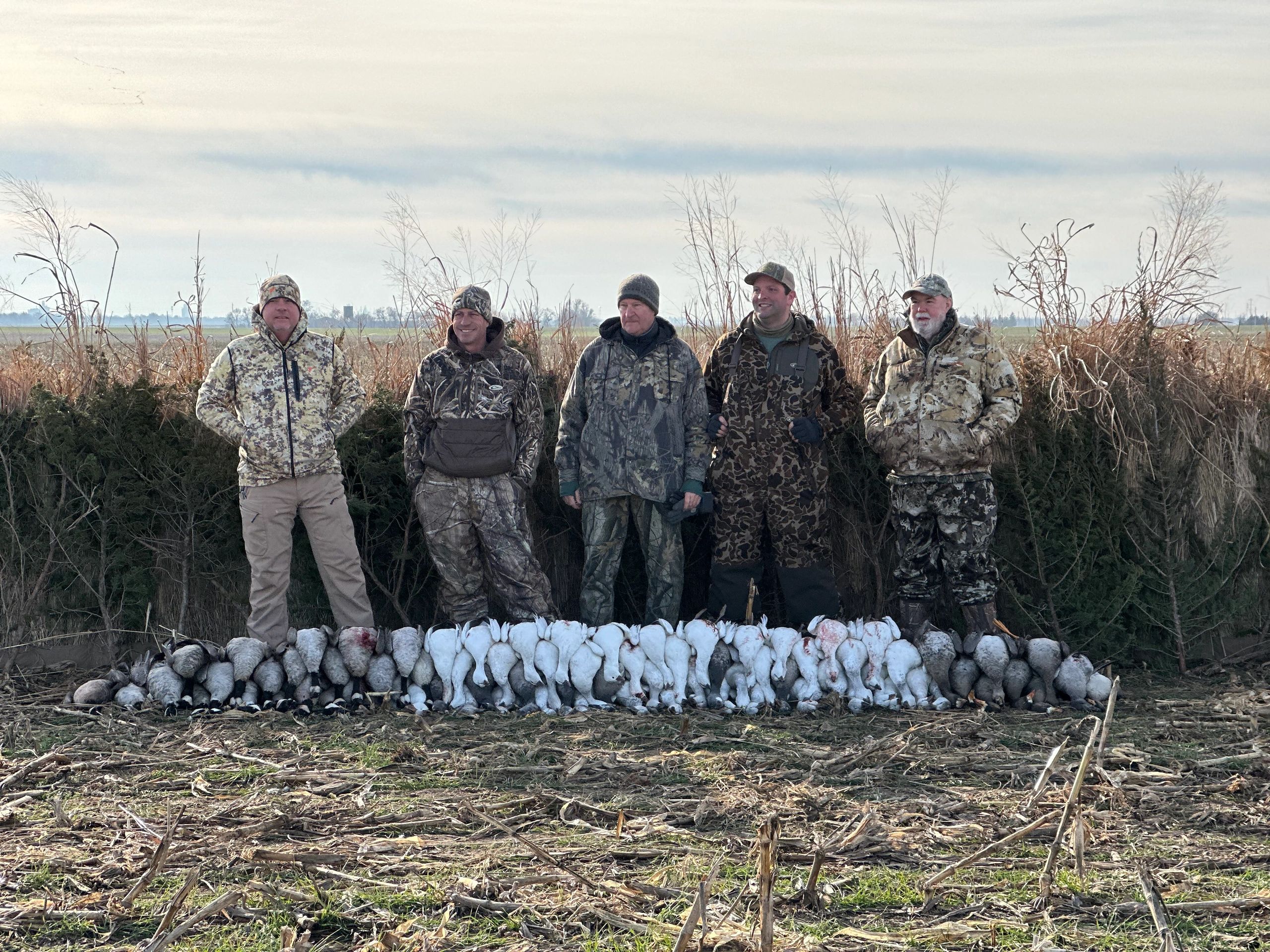 Five hunters in camouflage standing behind a large collection of hunted birds.