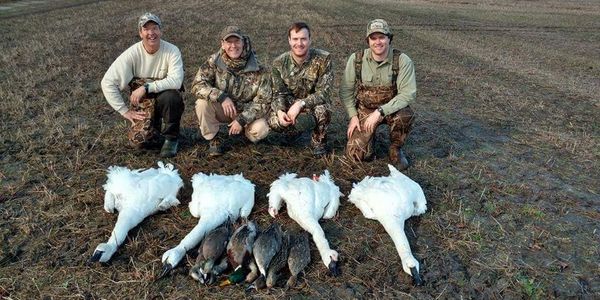 Swan hunting, Currituck County, North Carolina, Virginia, Fourth Generation Outfitters