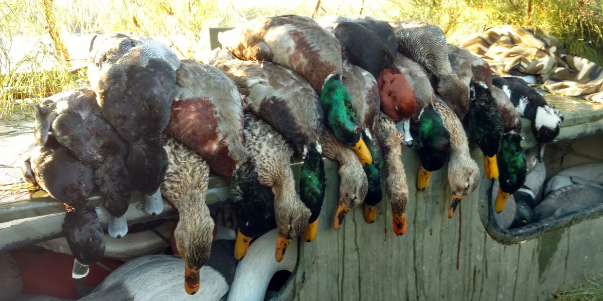 Duck hunting, Currituck County, North Carolina, Virginia, Fourth Generation Outfitters