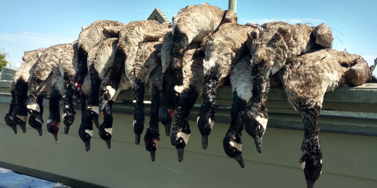 Canada Goose Fourth Generation Outfitters