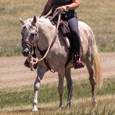 Three people horseback riding in a grassy field.