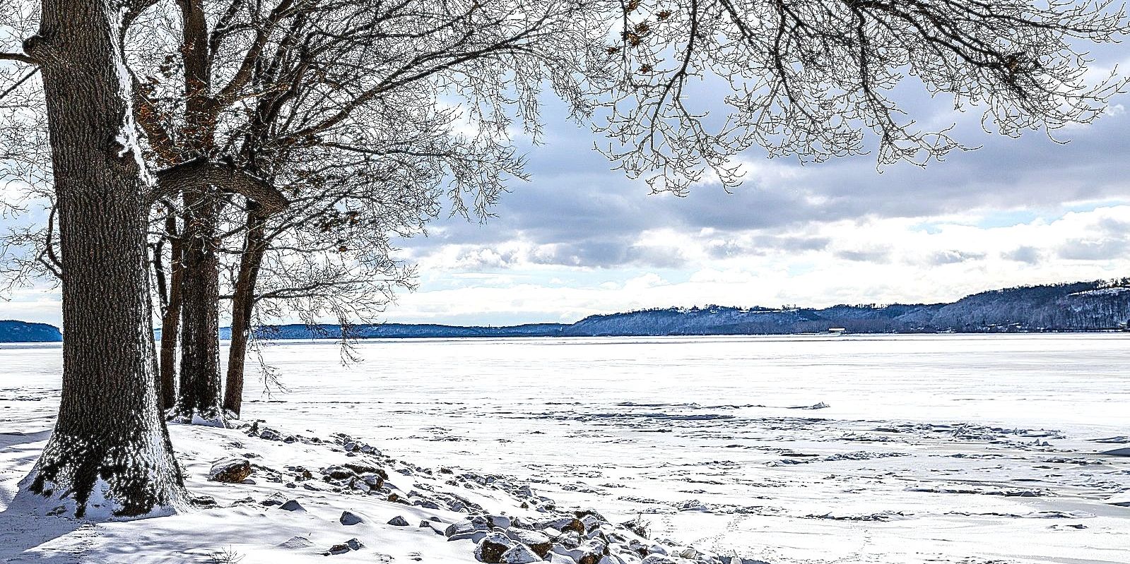 Snow-covered trees and frozen lake under a cloudy sky.