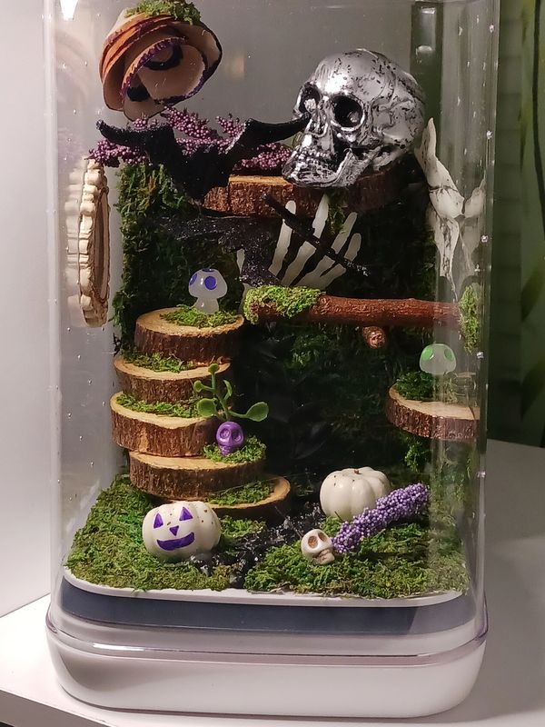 Made-to-order Large Jumping Spider Enclosure, Jumping Spider Decor