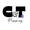 C&T Puppies 