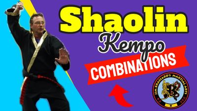 Shaolin Kempo Karate Combinations/DM's