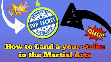 Secrets Of Striking in the Martial Arts