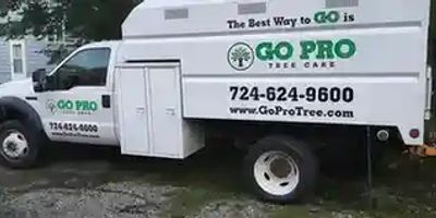 transport