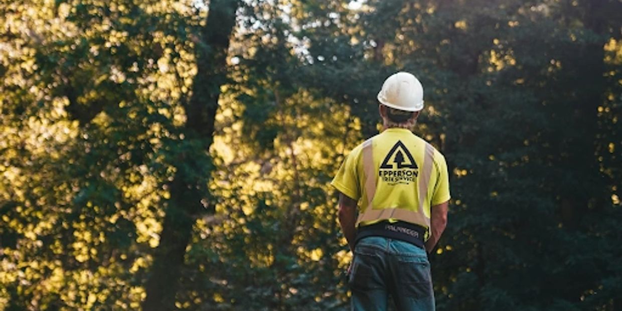 Worker in a hard hat and safety vest stands in front of a forest.
