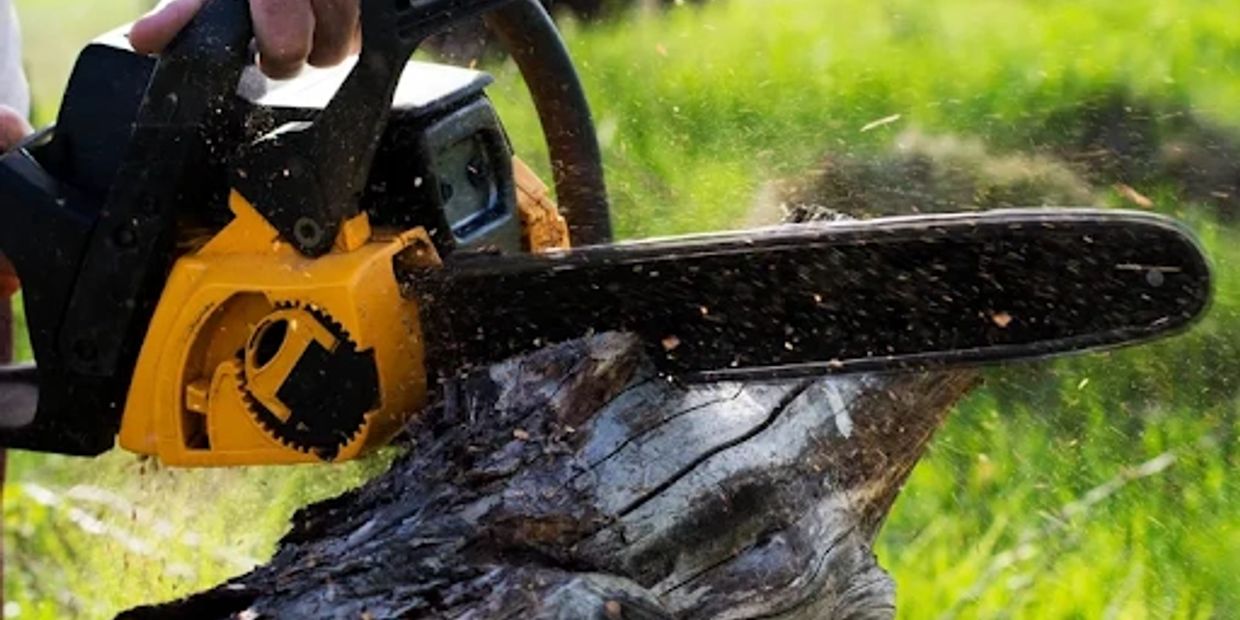 A chainsaw cutting through a tree stump, wood chips flying.