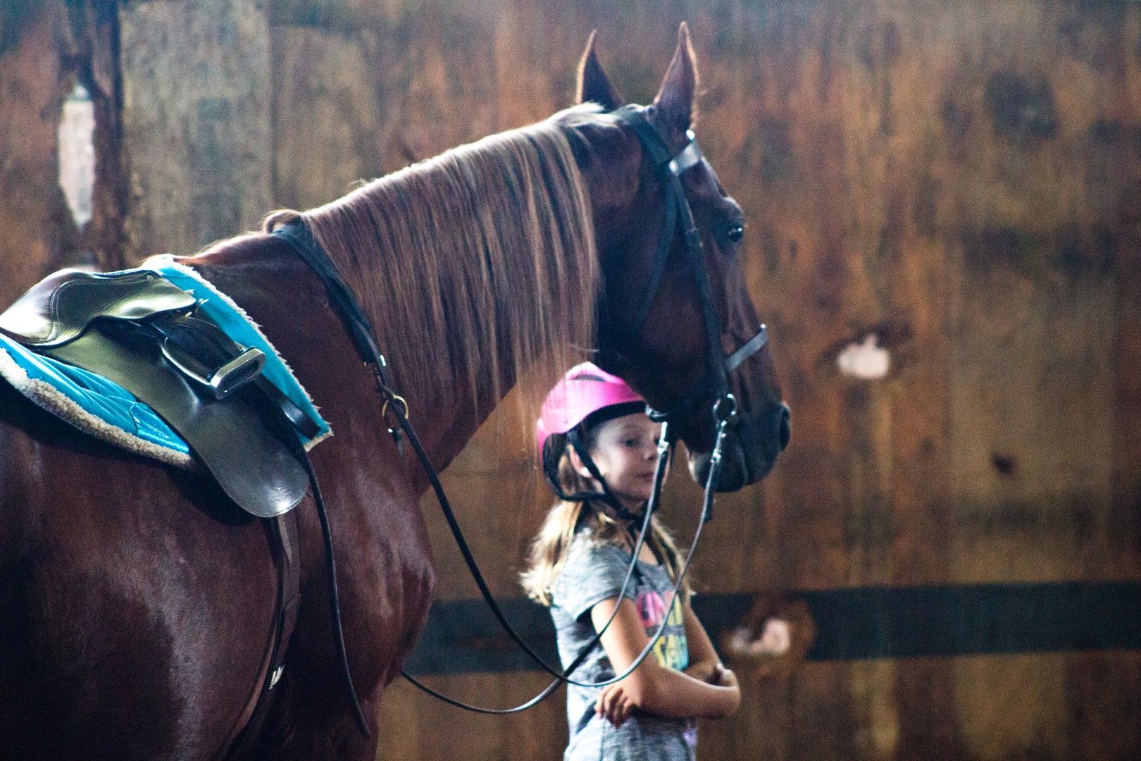 Horse, Lessons La Fleur Stables Verona, Wisconsin