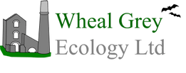 Wheal Grey Ecology
