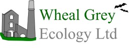 Wheal Grey Ecology