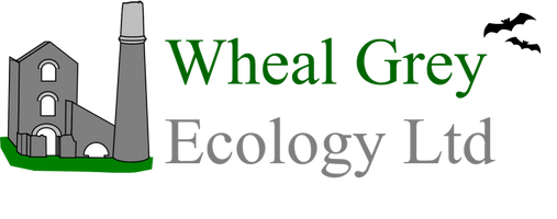 Wheal Grey Ecology