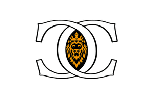 Team CC Solutions