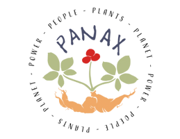 Panax 