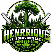 HENRRIQUE TREE SERVICES LLC.