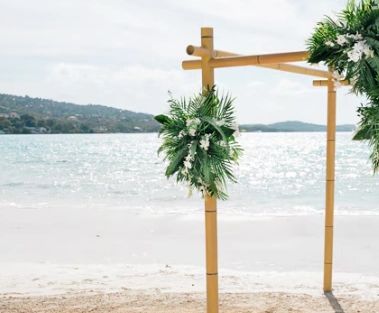 Beach wedding arbor with tropical greenery at a Sandals resort in Jamaica