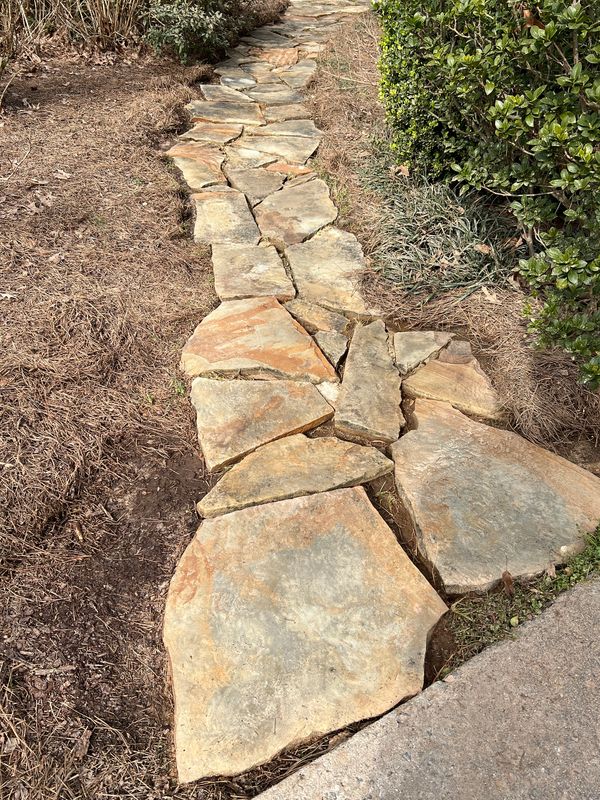 Clean Flagstone walkway, ready for the next improvement.
