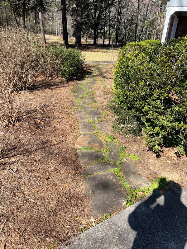 Flagstone walkway with dirty rocks and grass and moss growing in between.