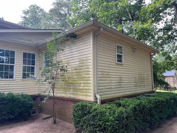 Vinyl siding with visible green algae and organic buildup before professional soft wash house cleani