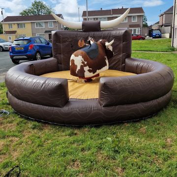 Rodeo Bull Hire Devon