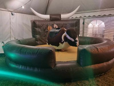 Rodeo Bull Hire Plymouth 
