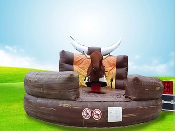 Our Rodeo bull hire at your event or party for 4 Hours including delivery(Plymouth area) & setup